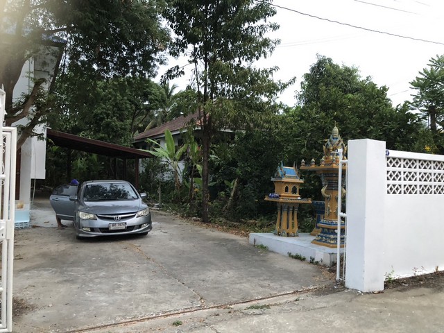 สู่ยุคหาทรัพย์ดีเอื้อเศรฐกิจ  บ้านปูน 1 ชั้น ต.บางเลน อ.บางใหญ่ 100 วา แหล่งเจริญ  นนทบุรี เนื้อที่ ราคาคุยได้ค่ะ