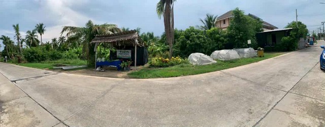 ที่ดินสวนออร์แกนิค 5 ไร่ ทำเลศักยภาพ ใกล้วัดไร่ขิง–ดอนหวาย–เซ็นทรัลศาลายา พื้นที่ธรรมชาติที่ผสมความสะดวกและความสงบได้อย่างลงตัว