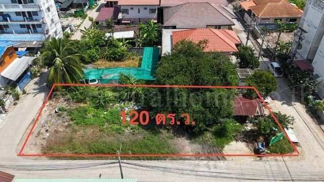 ให้เช่า ที่ดิน ซอยเรณูอุทิศ ลาดหลุมแก้ว 120 ตารางวา ติดถนน 3 ด้าน ห่างถนนใหญ่เพียงประมาณ 100 เมตร
