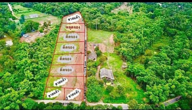 หลุงจอง ขายด่วนที่ดินดงละคร จ.นครนายก แปลงละ 1 ไร่ ถมแล้ว