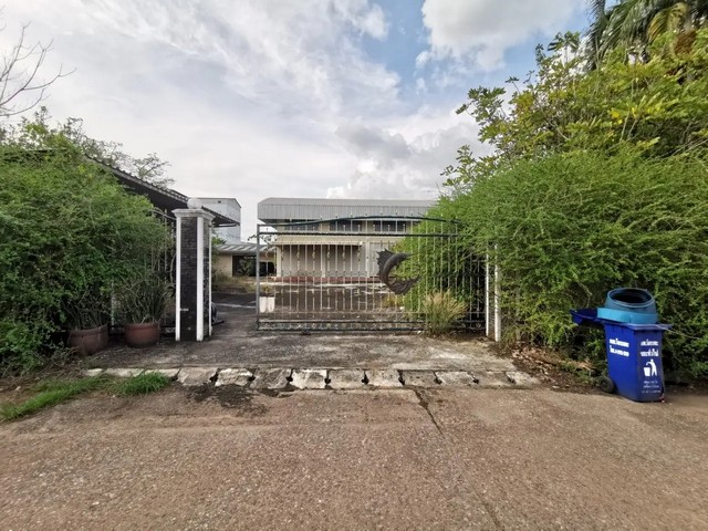 ขาย สำนักงาน วังกระแจะ จังหวัดตราด ราคาโปรโมชั่น ลดพิเศษ