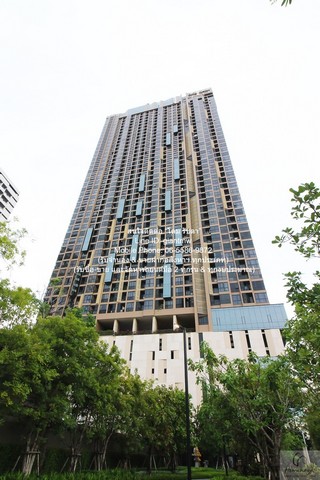 condo OKA HAUS Sukhumvit 36 คอนโด โอกะ เฮ้าส์ สุขุมวิท 36 34 square meter 1BR1น้ำ 6000000 -   ถูก