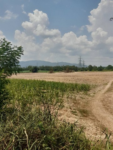 ขายที่ดินคลองกิ่วชลบุรี เนื้อที่ 63-2-29 ไร่ (แบ่งขายได้)ตำบลคลองกิ่ว อำเภอบ้านบึง จังหวัดชลบุรี พื้นที่สีเหลือง