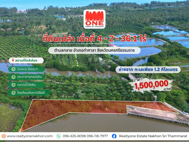 ที่ดินเปล่า เนื้อที่ 4-2-36.1 ไร่ ใกล้ทะเล อ.ท่าศาลา