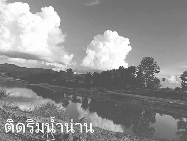 คุยง่ายขายคล่องให้ทางเลือก ที่สวยติดแม่น้ำน่าน น้ำใสไหลรินตลอดปี  ต.ศรีภูมิ อ.ท่าวังผา จ.น่าน ขาย 800000  วิวดีสวยมาก 0968821857