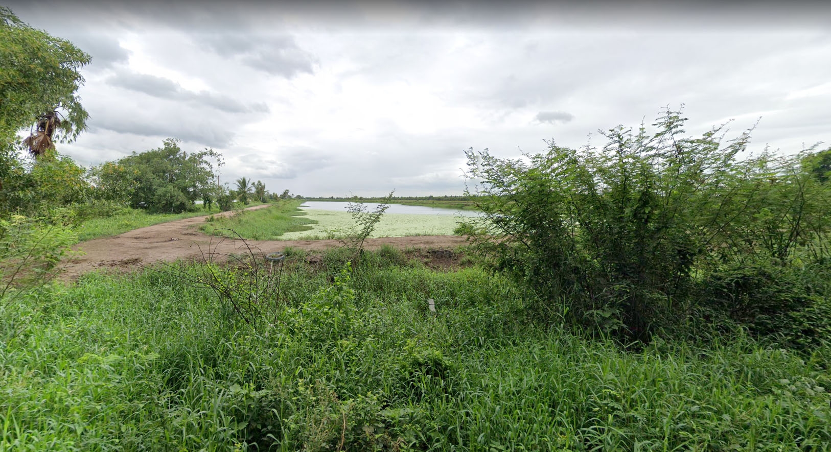 ขายที่ดินเปล่า  100 ไร่  ต.อาษา อ.บ้านนา  จ.นครนายก