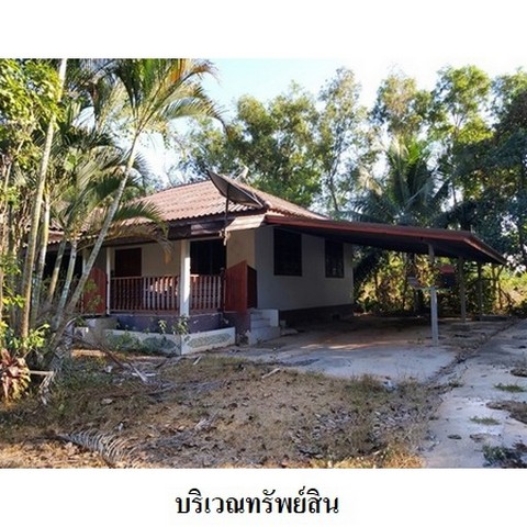 ขายบ้านเดี่ยว ถนน สายบ้านกรวด-ประโคนชัย (ทล.219) ตำบล บ้านกรวด อำเภอ บ้านกรวด จังหวัด บุรีรัมย์