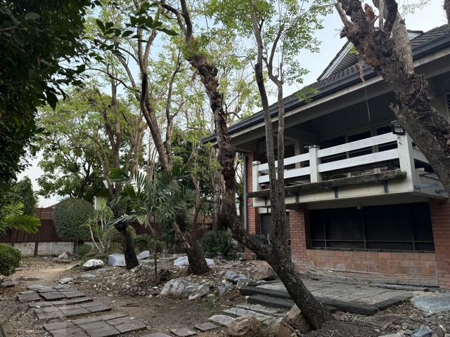 HR 9778 ให้เช่าบ้านเดี่ยว 2 ชั้น 200 ตรว. ซอยลาดพร้าว 128 ใกล้รถไฟฟ้าสถานีลาดพร้าว 101 เหมาะสำหรับทำโฮมออฟฟิศ ร้านอาหาร คาเฟ่