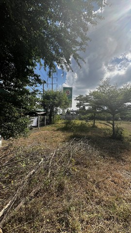 ขายที่ดินศักยภาพสูงเมืองสระบุรี  13 ไร่ Total 55250000.-฿  Mobile 0934415691