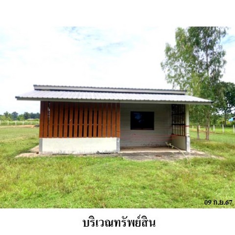 ขายบ้านเดี่ยว ถนน สายชุมพวง-ลำปลายมาศ (ทล.2223) ตำบล โคกล่าม อำเภอ ลำปลายมาศ จังหวัด บุรีรัมย์