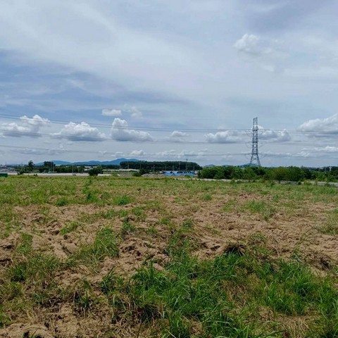 ขายที่ดินระยอง แปลงสวย ราคาดี เขตปลวกแดง มาบยางพร FP-L01887