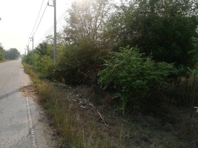 ฝากไว้ให้พิจารณานะคะ ขายที่สวยติดทางหลวง1107 บ้านตาก จ.ตาก คมนาคมสะดวก ไร่ละ 300000 ต.ตากตก อ.บ้านตาก  จ.ตาก  0837124115