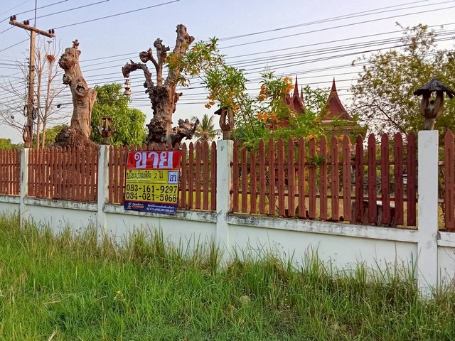 ขายบ้านพร้อมที่ดิน ราคาถูก เนื้อที่ 2ไร่ ติดถนนใหญ่ ใกล้เทศบาลหนองสองห้อง ขอนแก่น