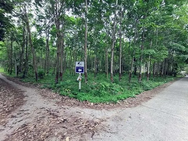 ขายที่ดินเปล่า เกาะปอ เกาะลันตา จังหวัดกระบี่ ราคาโปรโมชั่น ลดพิเศษ