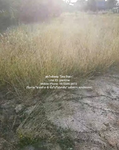 พื้นที่ดิน ขายที่ดินเปล่าถมแล้ว 200 ตร.ว. ติดถนนพุทธมณฑลสาย 1 ราคา 30000000 บาท (150000 บาท/ตร.ว.)  30000000 บาท. ใกล้ สายใต้เซ็นเตอร์ บรรยากาศส่วนตัว เป็นที่ดินเปล่า ทรงสี่เหลี่ยมผืนผ้า ติดถนน ที่ตั้งอยู่ในบริเวณชุมชนที่มีสิ่งอำนวยความสะดวกโดยรอบ