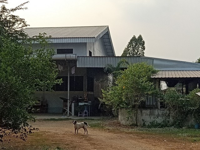 ขายโรงงาน 2 ไร่ 2 งาน 73 ตร.ว ตำบลวังอิทก อำเภอบางระกำ จังหวัดพิษณุโลก