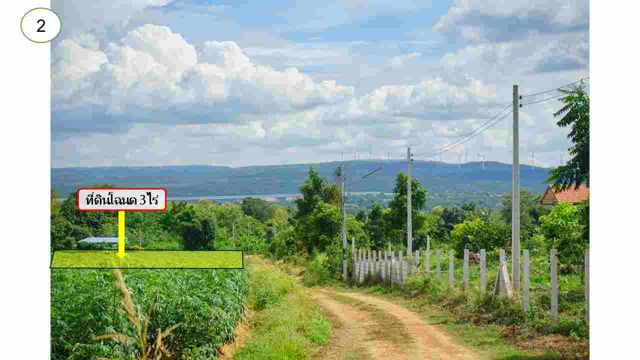 ขาย Ozone บริสุทธิ์ ที่ดินคลองไผ่.วิวเขา  3 ไร่.  3.9 ลบ. ( 3250 บ./ วา )