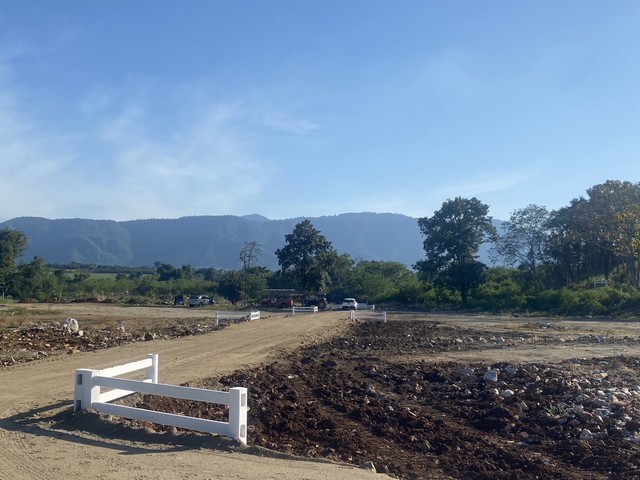 ID :  - ประกาศขาย ที่ดิน - เท่าทุน