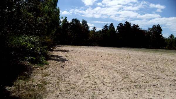 ขาย ที่ดินเปล่า ห่างจาก ถนนทางหลวง 212 ต. มุกดาหาร อ. เมือง จ. มุกดาหาร