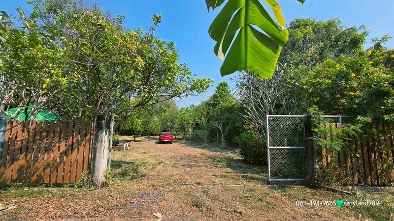 ขายสวนผลไม้รวม ใกล้เขื่อนขุนด่าน 335 ตรว. ต.หินตั้ง อ.เมือง จ.นครนายก รูปที่สี่เหลี่ยมสวย มีศาลาพักผ่อน ห้องน้ำในสวน มีรั้วรอบพื้นที่สวย