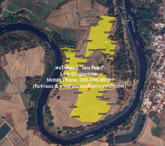 พื้นที่ดิน ขายที่ดินไร่อ้อย เนื้อที่ 45-0-31.9 ไร่ ติดแม่น้ำเลย อ.เมืองเลย จ.เลย ราคา 18.7 ล้านบาท เดินทางง่าย เลย
