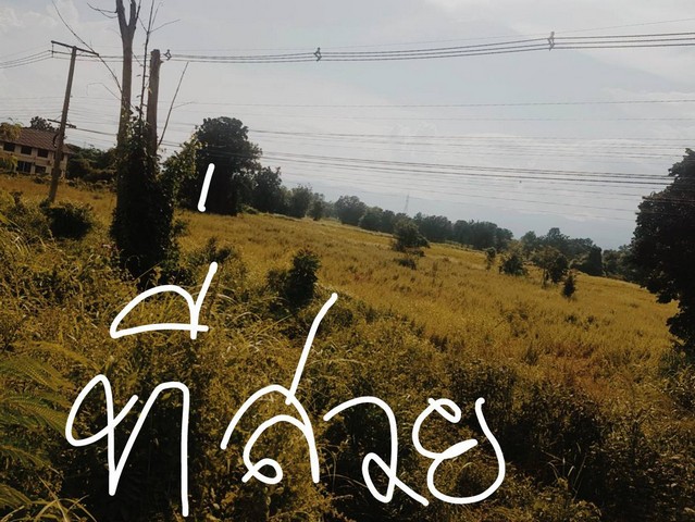 ฝากไว้ให้พิจารณานะคะ เมืองบ้านตากจังหวัดตาก  3-1-40 ไร่ ติดถนนเอเซีย AH1 ติดถนนพหลโยธิน ไร่ 3ลบ. โทร 096-8821857