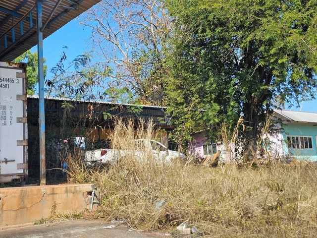 ขายโรงงาน 4 ไร่ 2 งาน 21 ตร.ว ถนนบ้านโนนศิลา-โพธิ์ตาก ท่าบ่อ หนองคาย