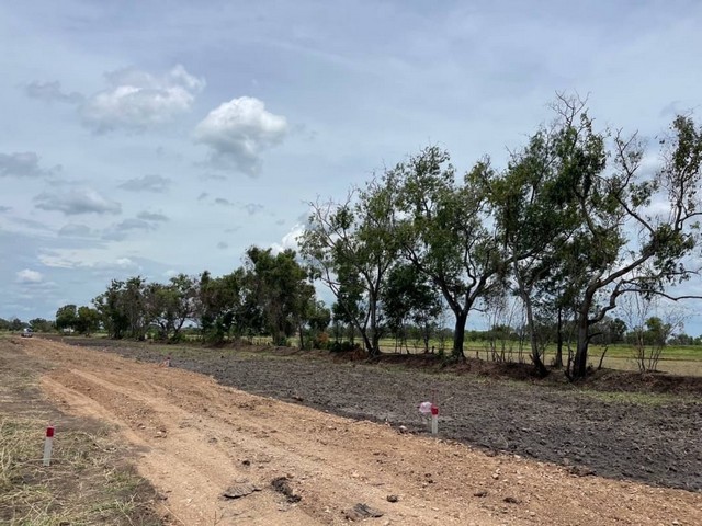 ที่ดิน ที่ดินคลองหลวงคลองห้า ใกล้มอเตอร์เวย์เพียง1กม พ.ท. 0 ตร.วา 1 NGAN 0 ไร่ 890000 thb ไม่ไกลจาก มอเตอร์เวย์  ทำเล-คุณภาพ