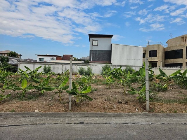 ขายที่ดินถมแล้วย่านเลียบด่วน 416 ตรว. (1 ไร่) นาคนิวาส 21 ทะลุ สังคมสงเคราห์ 28 ได้ ที่ดินหน้ากว้างสวย ถนนกว้าง ที่สวย ราคาดีน้ำไม่ท่วม