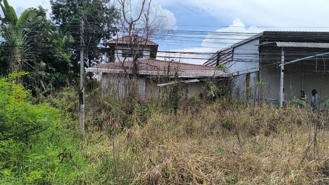 ขายโกดัง 331 ตร.ว ถนนเพชรบูรณ์-วิเชียรบุรี เมืองเพชรบูรณ์