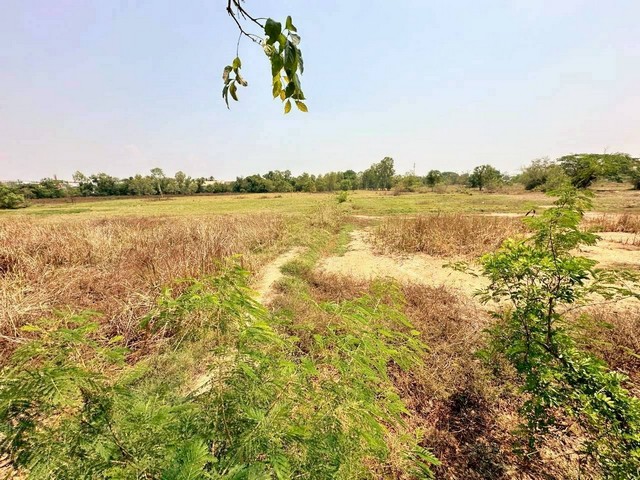 ขายที่ดินผืนใหญ่ ใจกลางเมืองอุดรธานี เนื้อที่ 13 ไร่ 3 งาน 76 ตร.วา ต.หมากแข้ง อ.เมืองอุดรธานี จ.อุดรธานี