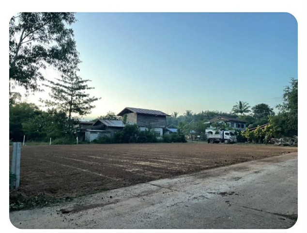 ขายที่ดินถมแล้วติดถนน อำเภอทุ่งฝน จังหวัดอุดรธานี เนื้อที่ 256 ตารางวา