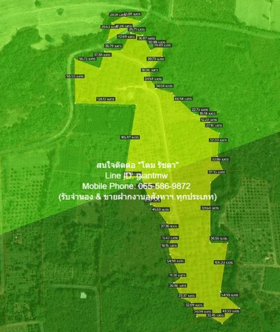 DSL-451 SALE ขาย ที่ดิน ขายที่ดินสวนผลไม้ปลอดสารพิษ (Organic) อ.ประจันตคาม จ.ปราจีนบุรี 57-0-90.4 ไร่ ราคา 57 ล้านบาท 22890 ตร.วา 57000000 บาท ใกล้กับ ห่างทางหลวงหมายเลข 3649 (ถนนสุวรรณศร) ประมาณ 5 กม. DEALS! ลับ