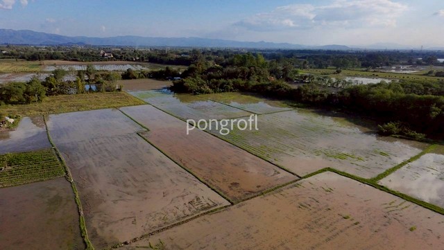 ขายที่ดินผืนใหญ่ เชียงใหม่ – สันกำแพง  เนื้อที่รวม 8 ไร่ (ขายรวม 3 แปลง)