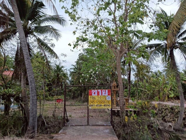 ขายที่ดินสวนมะพร้าว  3-0-17 ไร่  พร้อมสิ่งปลูกสร้าง  คุ้งน้ำวน  เมืองราชบุรี   วิวธรรมชาติ บรรยากาศเงียบสงบ