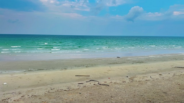 รวมบ้านที่ดินดีงามเพื่อคุณ  ขายที่ดินใกล้หาดบางเบิด ติดถนนทางหลวง ใกล้หาด1 กม. +ขนาดที่ดิน 50-1-18 ไร่ โฉนดครุฑแดง พร้อมโอน ไร่ล่ะ 8 แสน