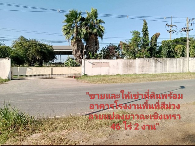 ขายและให้เช่าที่ดินพร้อมอาคารโรงงานแปลงยาวฉะเชิงเทรา ที่ดิน 46 ไร่ 2 งานพื้นที่สีม่วงลาย ใกล้นิคมอุตสาหกรรมเกตเวย์ซิตี้