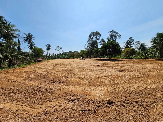 ขายที่ดินพัทยา แปลงสวย ห้วยยายจีน ห้วยใหญ่ บางละมุง ชลบุรี FP-L01894