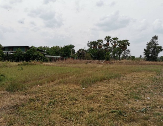 ให้เช่าที่ดินนาป่าชลบุรี ให้เช่าเหมาที่ดินใกล้มอเตอร์เวย์เนื้อที่ 2 ไร่  นาป่า เมืองชลบุรี ที่ดินเหมาะทำการเกษตร แคมป์คนงาน หรือประกอบกิจการ