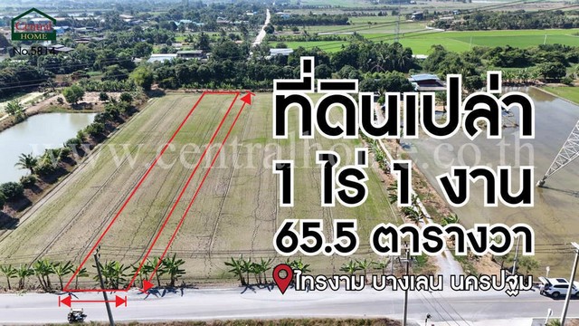 ที่ดินเปล่า 1-1-65.5 ไร่ ไทรงาม บางเลน นครปฐม ทำเลดี