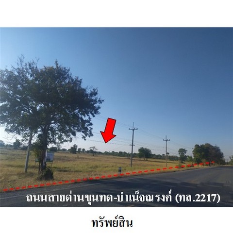ขายที่ดินว่างเปล่า ถนน ด่านขุนทด-บำเหน็จณรงค์ (ทล.2217) ตำบล หนองกราด อำเภอ ด่านขุนทด จังหวัดนครราชสีมา
