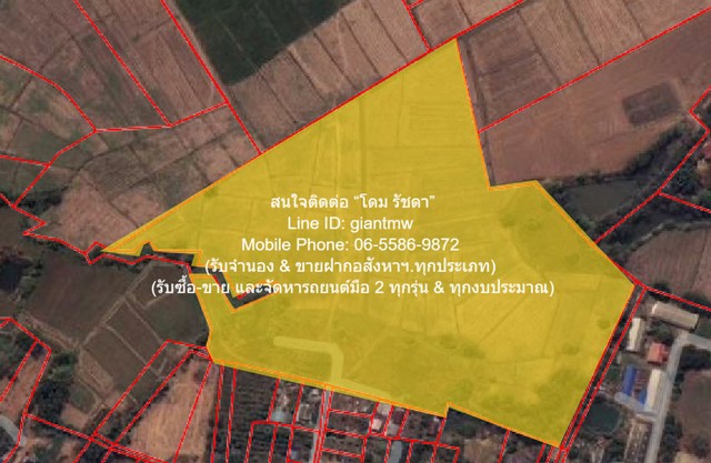 ที่ดิน ขายที่ดินทุ่งนาข้าว ต.ระวิง อ.เมืองเพชรบูรณ์ จ.เพชรบูรณ์ 51-2-87 ไร่ 87 Square Wah 2 งาน 51 ไร่  7800000 B. Hot!! 1. อยู่ใกล้ถนนทางหลวงหมายเลข 2302 และติดลำรางสาธารณะประโยชน์ 2. เหมาะสำหรับทำ Solar Farm หรือบ้านสวนเกษตรในสไตล์โคกหนองนา หรือเกษ