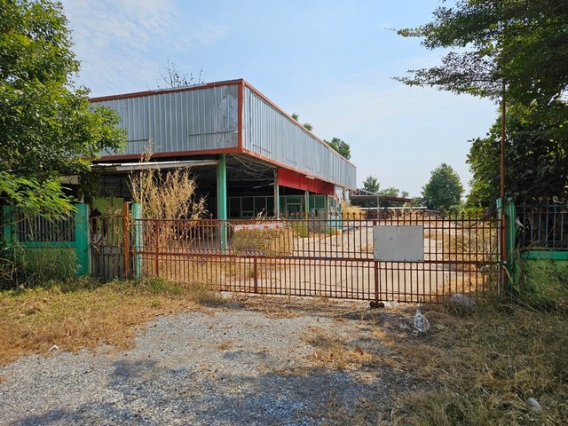 ขายโกดังชั้นเดียว 2 ไร่ ตำบลห้วยแก อำเภอชลบท จังหวัดขอนแก่น