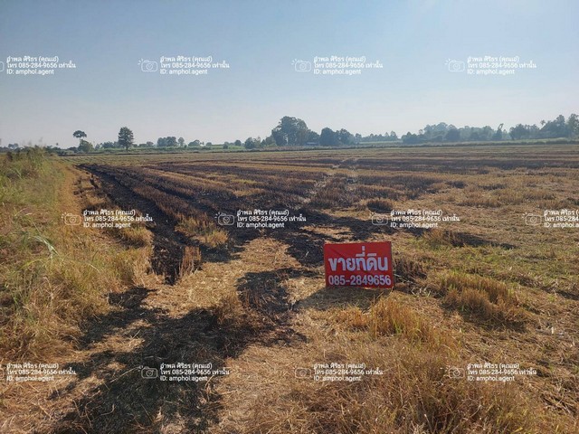 ขายที่ดินเพื่อการเกษตร อำเภอบรรพตพิสัย จังหวัดนครสวรรค์ เนื้อที่ 12 ไร่