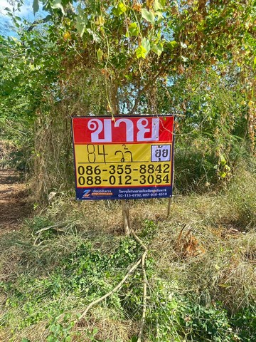 ขายที่ดิน 84ตารางวา  มบ.สีวลีรังสิต1  ซอยรังสิตนครนายก50  ธัญบุรี   ปทุมธานี  ZT873