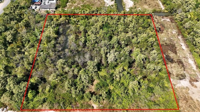 ลดด่วน ที่ดินเปล่า 4 ไร่ แบ่งขายได้แปลงละ 1 ไร่ บางปะกง - ฉะเชิงเทรา ราคาถูก