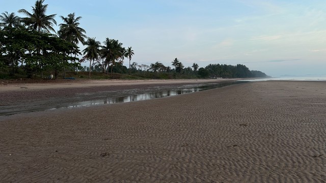 ฝากไว้ให้พิจารณานะคะ ที่ติดทะเล ฝั่งแดง ขายราคาไร่ล่ะ 3.5 ล้านบาท โฉนดครุฑแดง พร้อมโอน