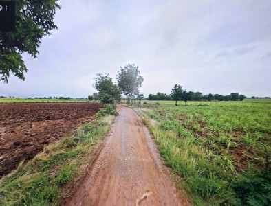 ขายที่ดิน 30-1-3.0 ไร่ ติดทางสาธารณะ อ.ด่านขุนทด จ.นครราชสีมา
