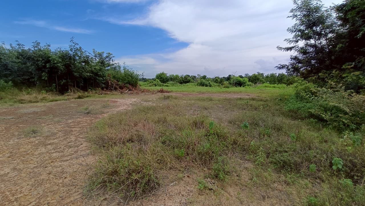 ขาย ที่ดินเปล่า บรบือ มหาสารคาม อำเภอ บรบือ จังหวัด มหาสารคาม