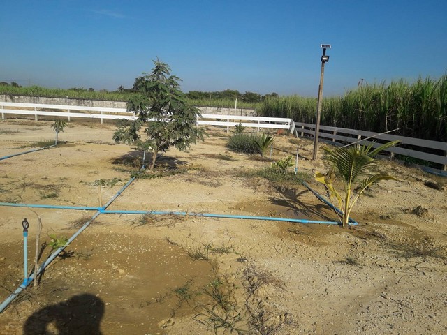 ที่ดินแบ่งแปลงขาย อำเภอเมือง จังหวัดนครปฐม เริ่มต้น 200 ตารางวา